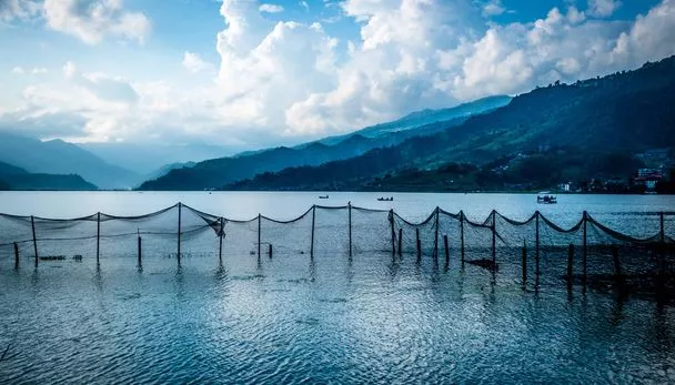 Pokhara Phewa Lake (Kathmandu Pokhara Chitwan Tour Package)